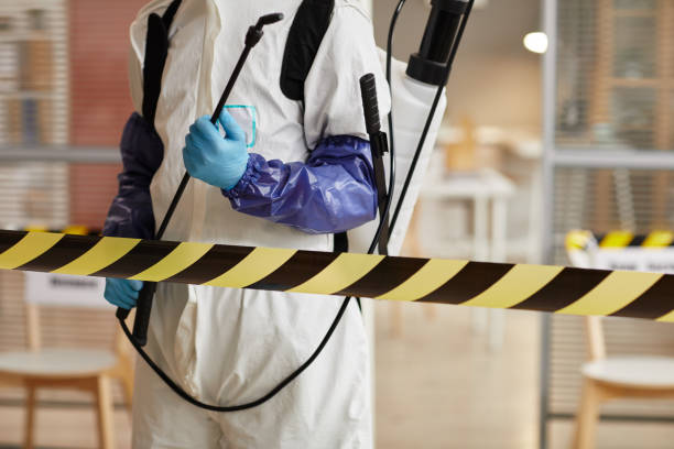 Professional Sewage Cleanup technician working in Murrieta, CA